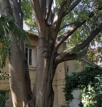 Hotel Le Calendal Arles