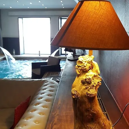 卡隆德尔spa酒店 3* 阿爾勒